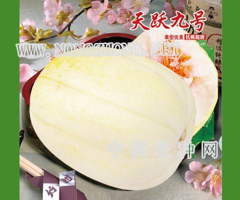 天跃九号